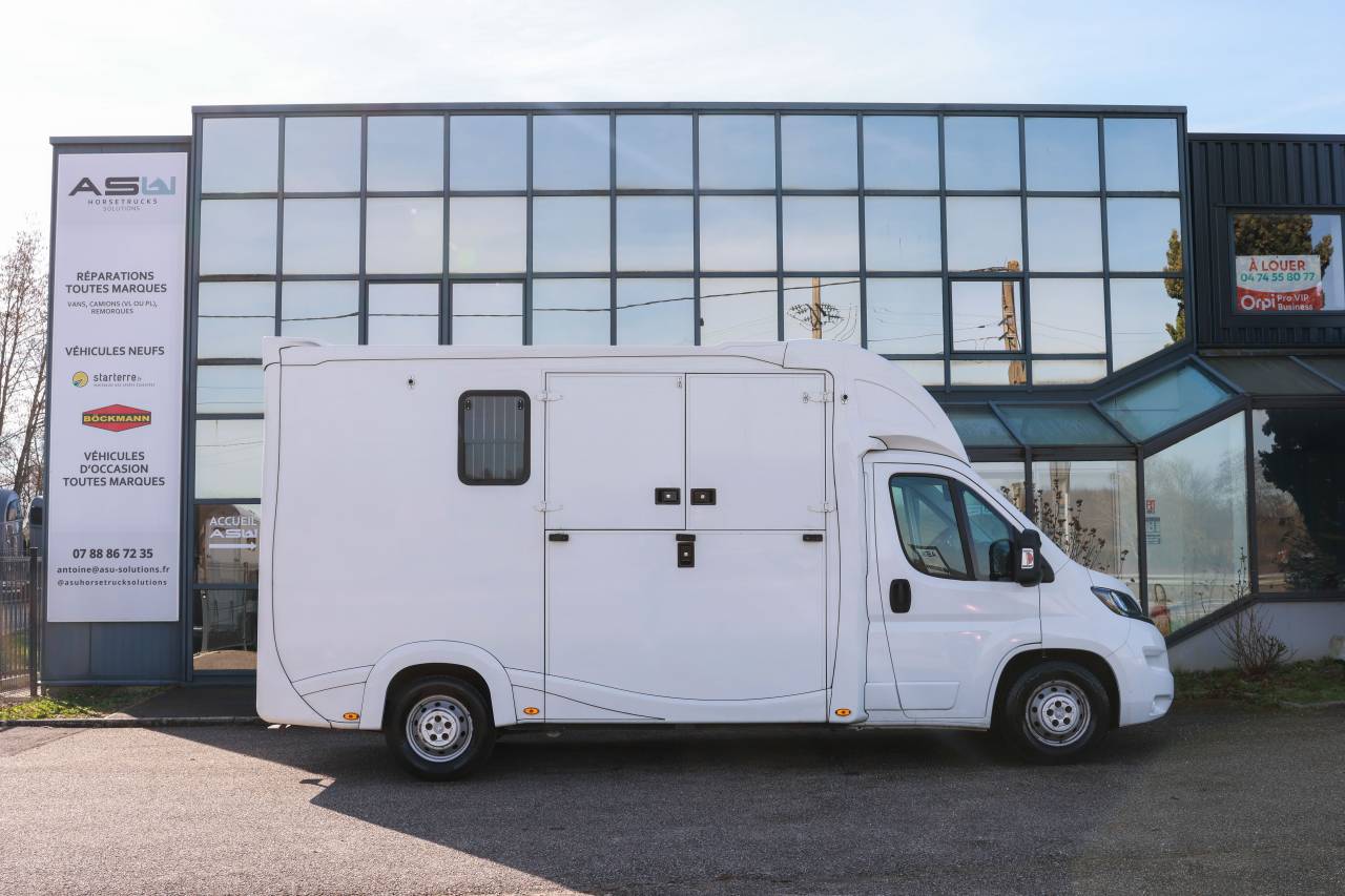 Horsebox HGV Peugeot BOXER 2021 Used
