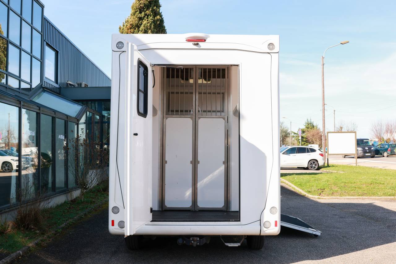 Horsebox HGV Peugeot BOXER 2021 Used