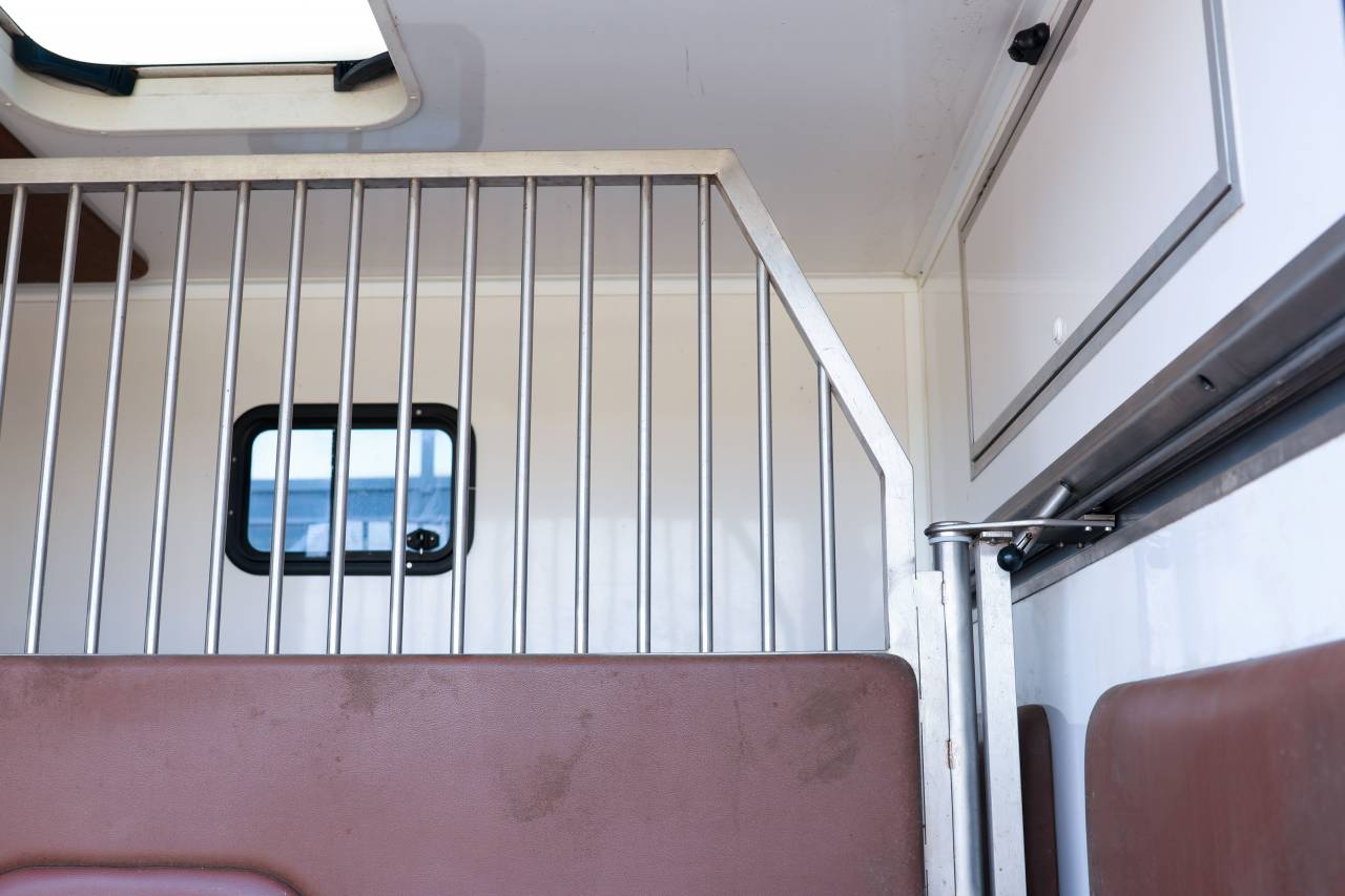 Horsebox HGV Peugeot BOXER 2021 Used