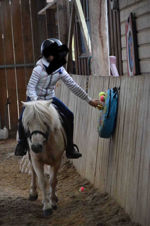 Gelding Shetland Pony For sale 2018 Palomino