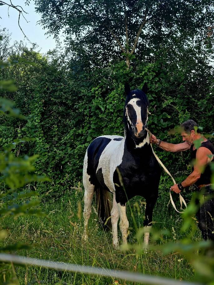 BLACK AND VHITEDEVAL - Origin Recorded 2011