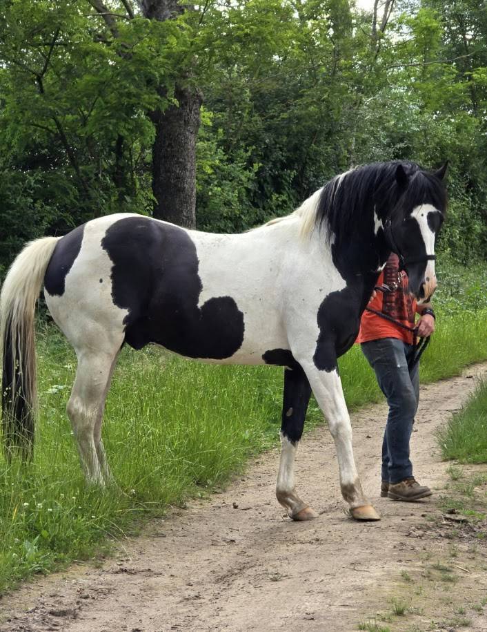 BLACK AND VHITEDEVAL - Origin Recorded 2011