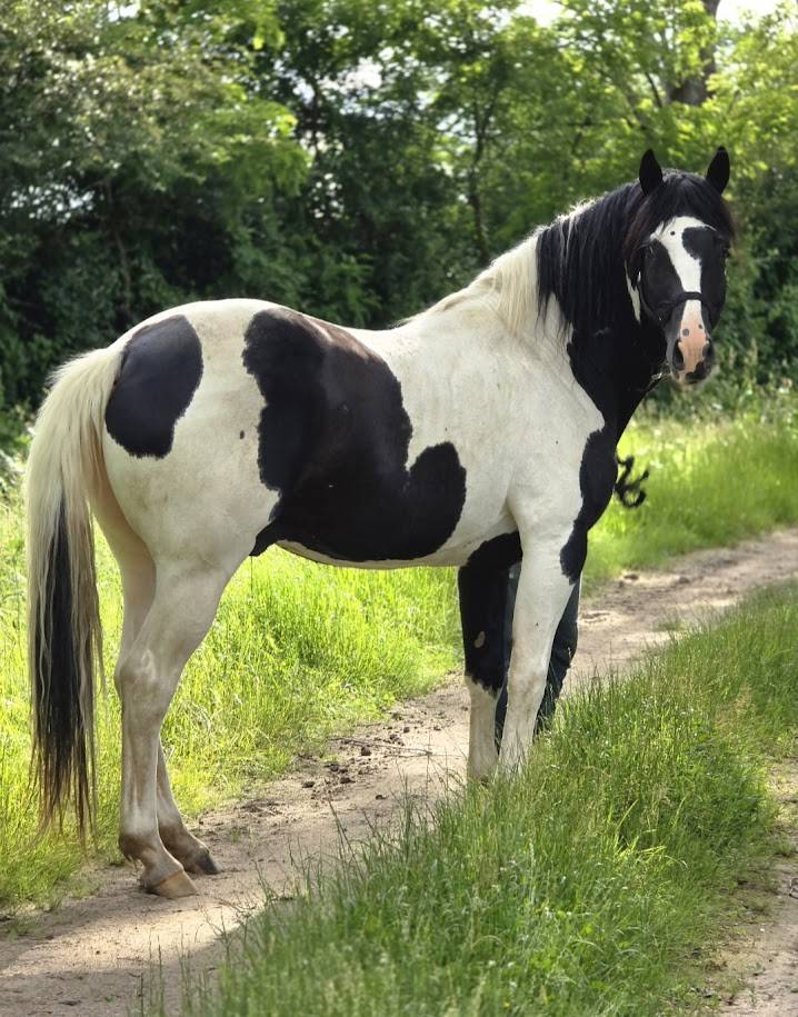 BLACK AND VHITEDEVAL - Origin Recorded 2011