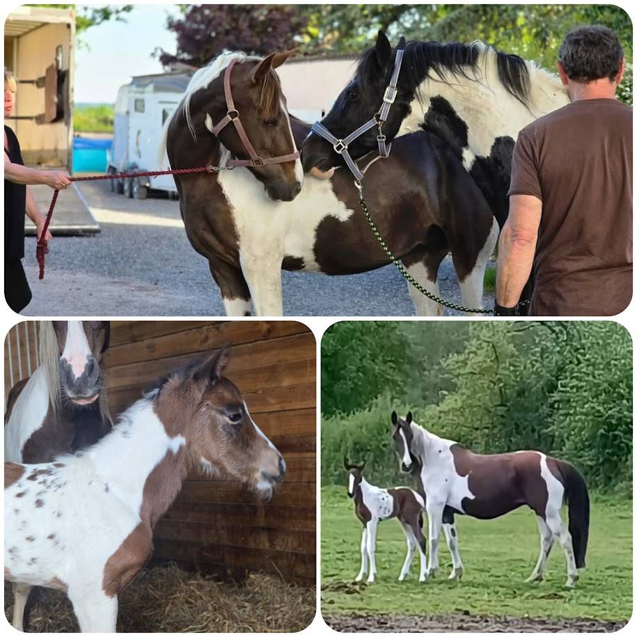 BLACK AND VHITEDEVAL - Origin Recorded 2011