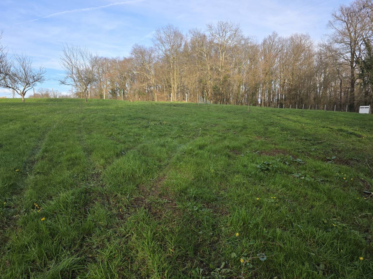 Equestrian property  Charente-Maritime