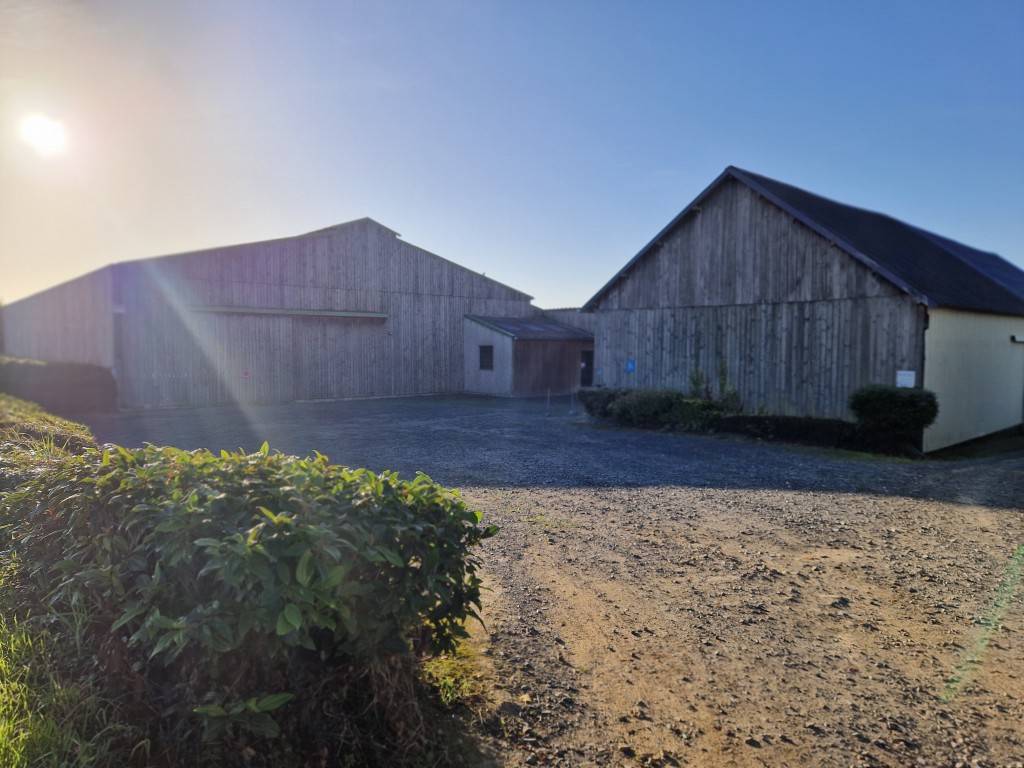 Livery yard  Ile-et-Vilaine