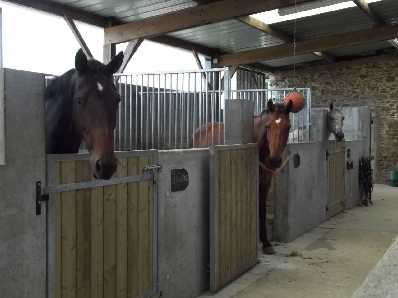 Livery yard  Ile-et-Vilaine