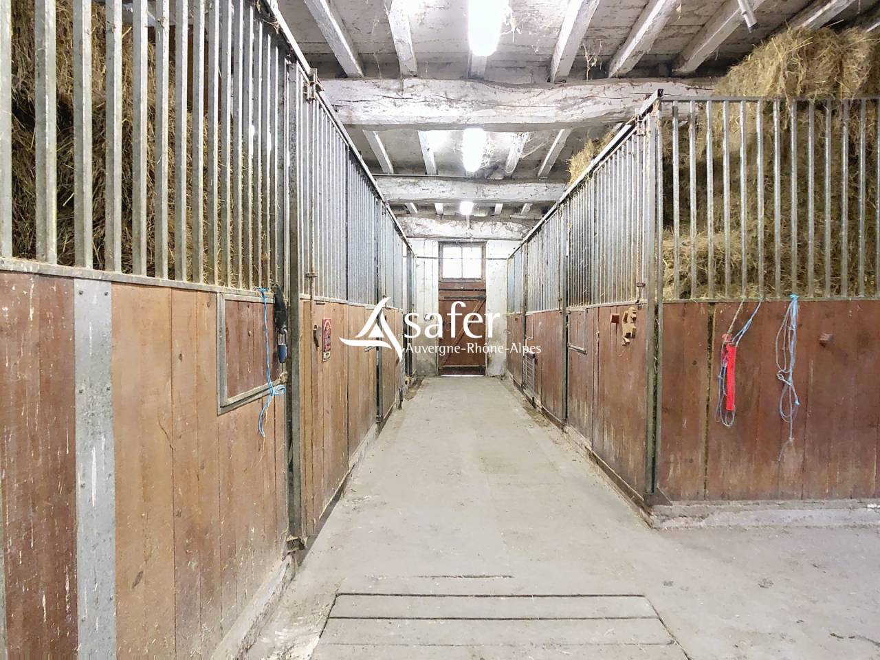 Equestrian property  Rh&ocirc;ne