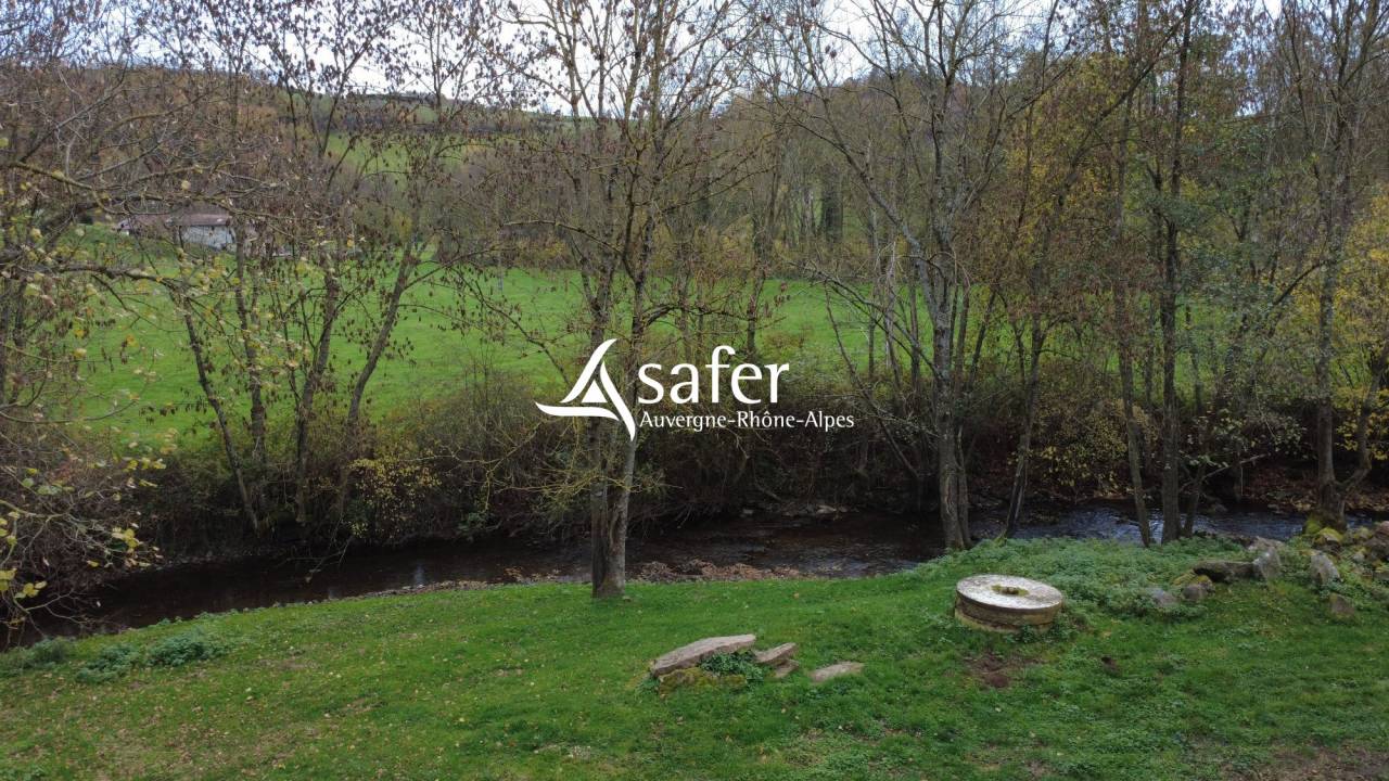 Equestrian property  Rh&ocirc;ne