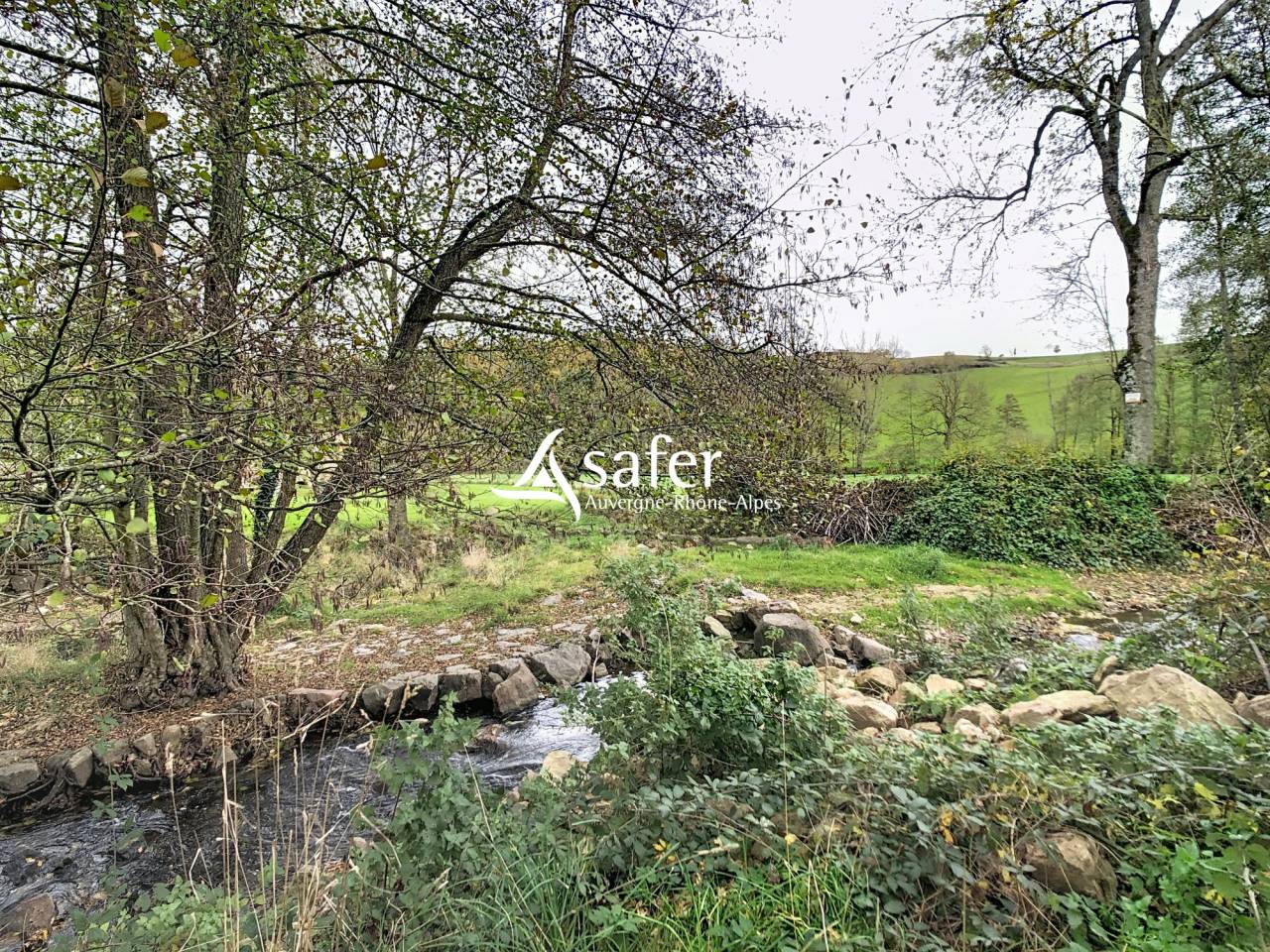 Equestrian property  Rh&ocirc;ne