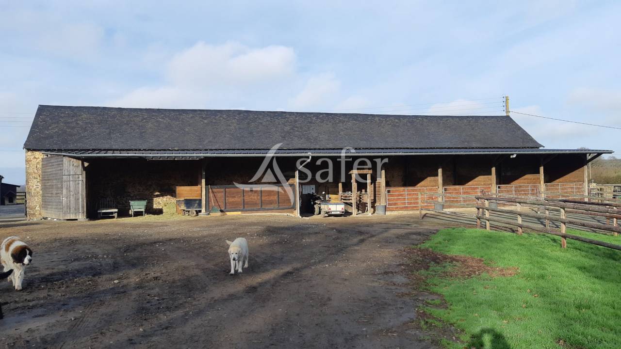 Equestrian property  Mayenne