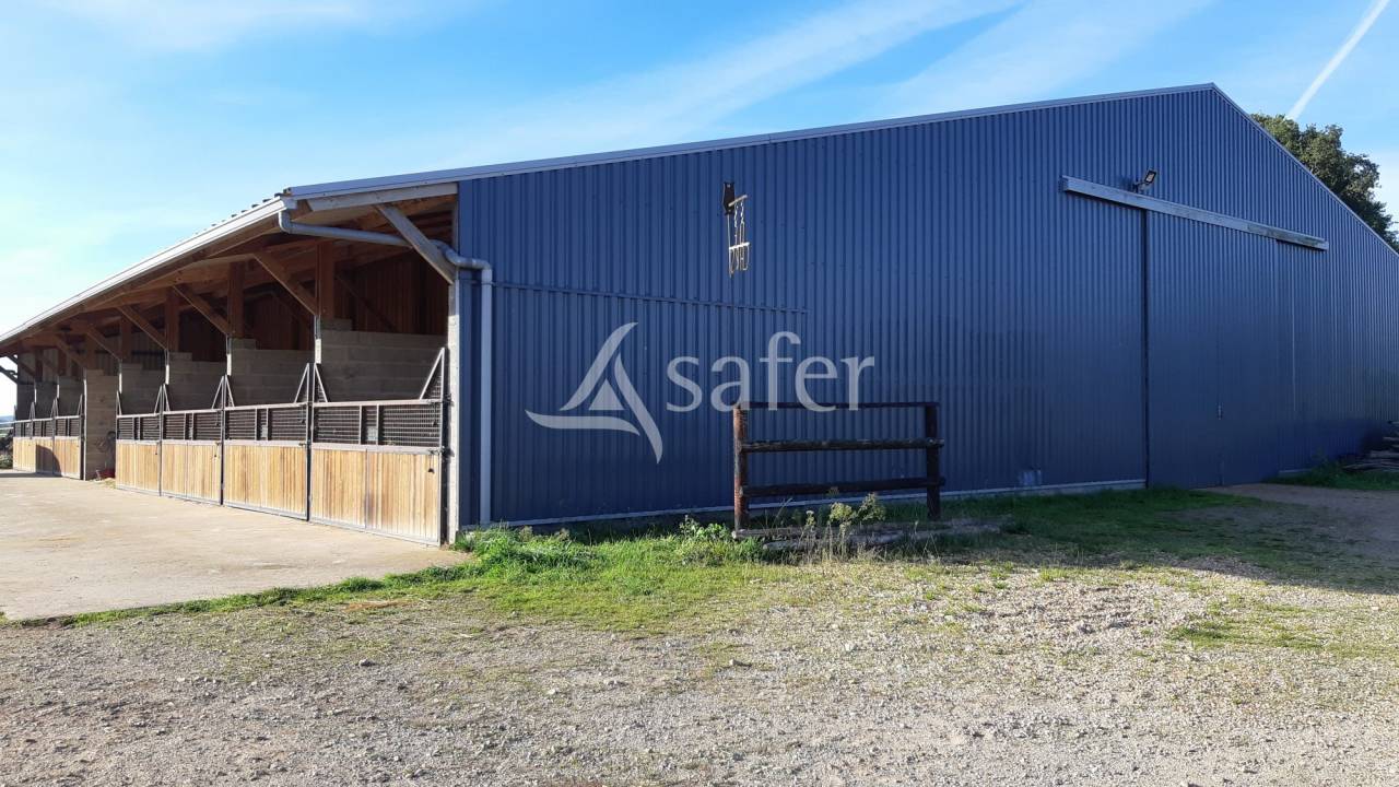 Equestrian property  Mayenne