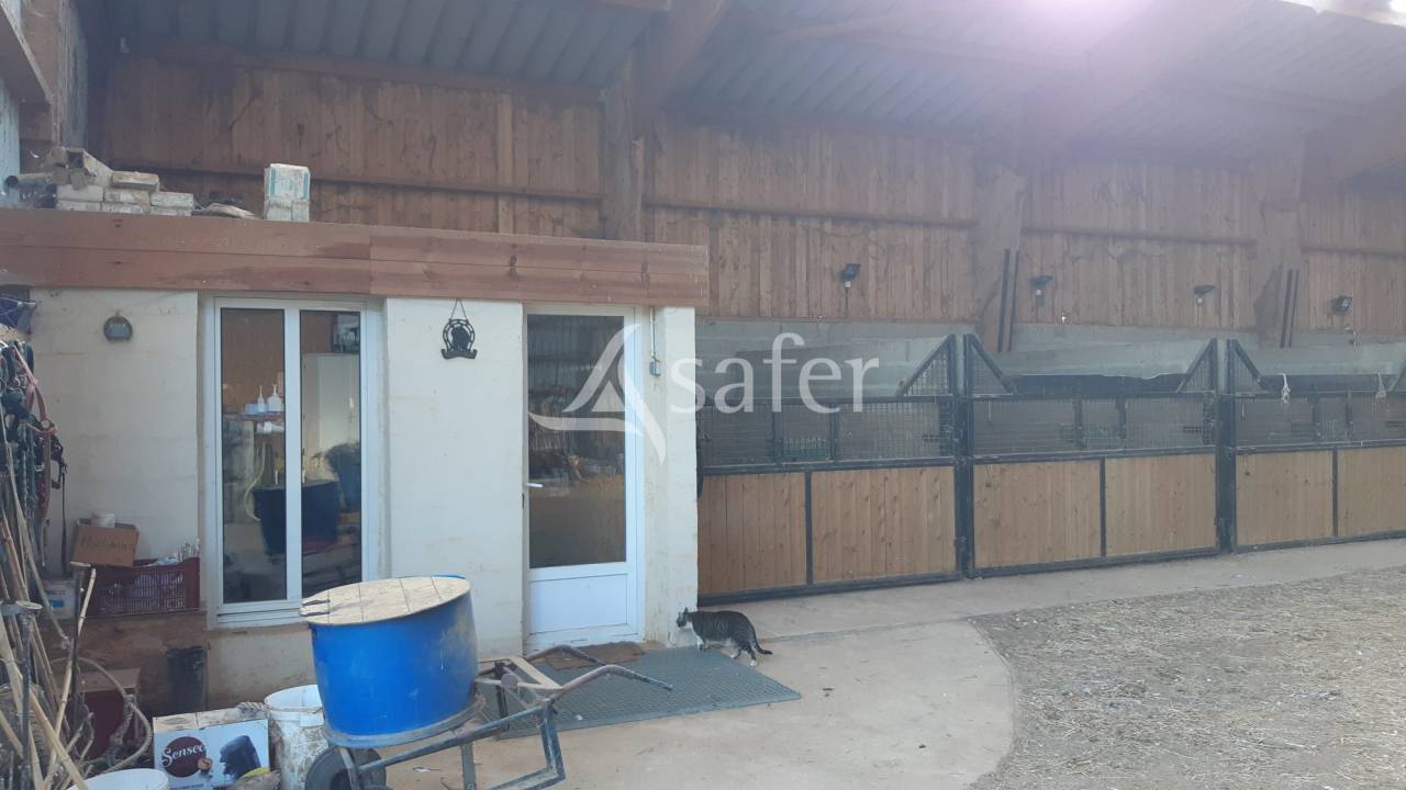 Equestrian property  Mayenne