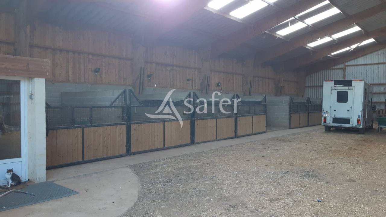 Equestrian property  Mayenne