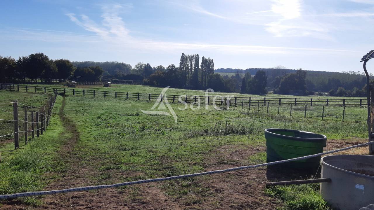 Equestrian property  Mayenne