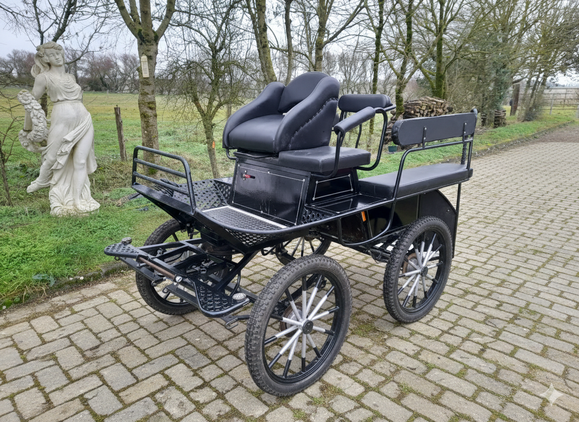 Carriage - Marathon for leisure - Other brand -  