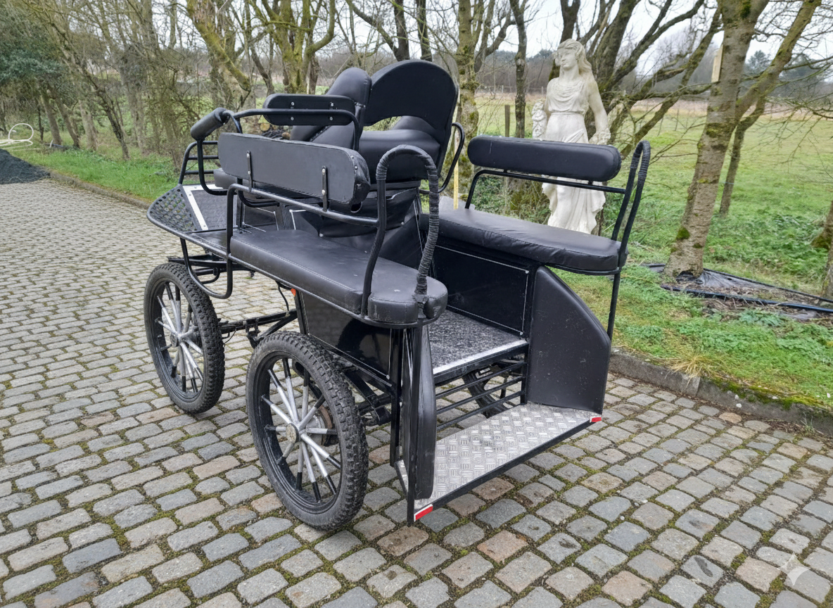 Carriage - Marathon for leisure - Other brand -  