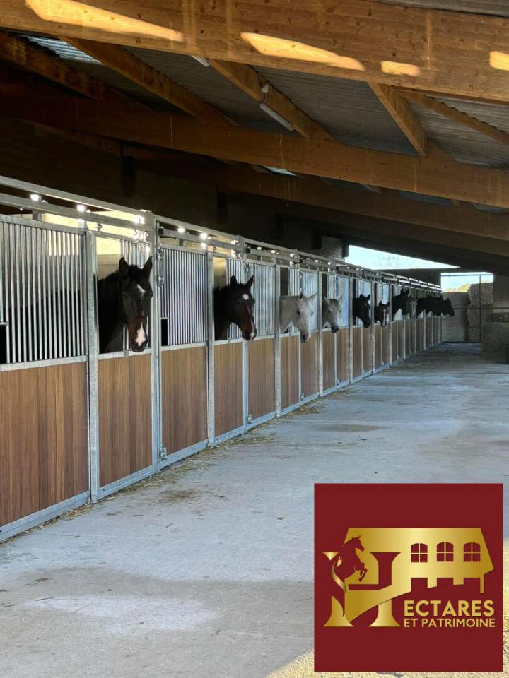 Livery yard  Sa&ocirc;ne-et-Loire