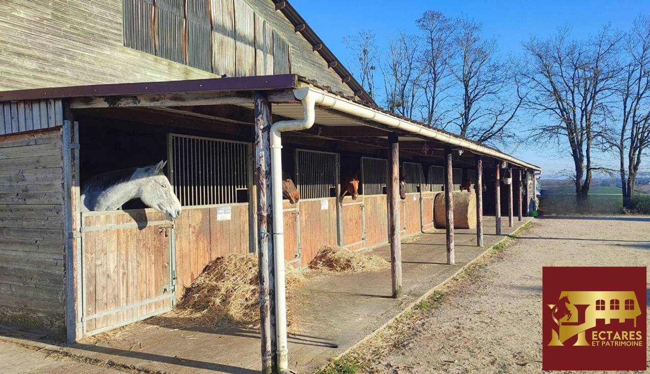 Livery yard  Sa&ocirc;ne-et-Loire