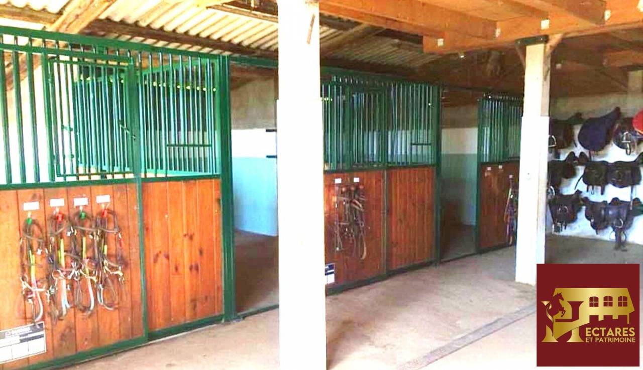 Livery yard  Sa&ocirc;ne-et-Loire