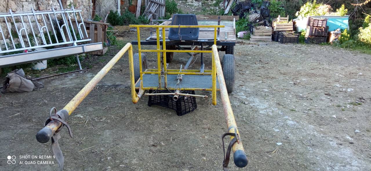 Carriage - Cal&egrave;che   