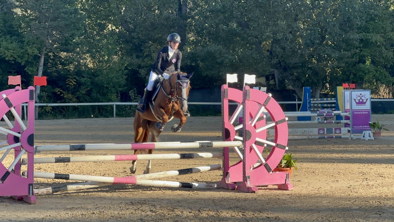 Mare Origin Recorded For sale 2017 Chesnut