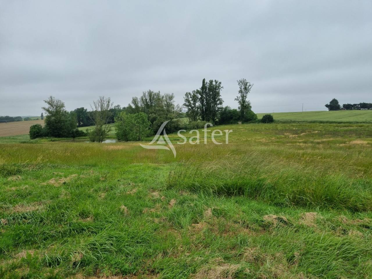 Other agricultural property  Haute-Garonne