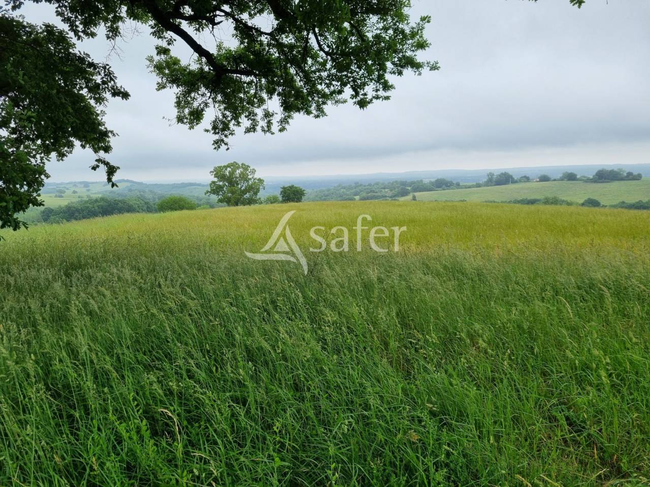 Other agricultural property  Haute-Garonne