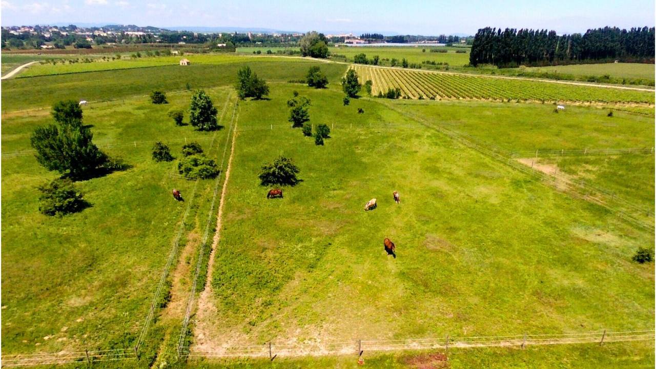 Equestrian property  Gard