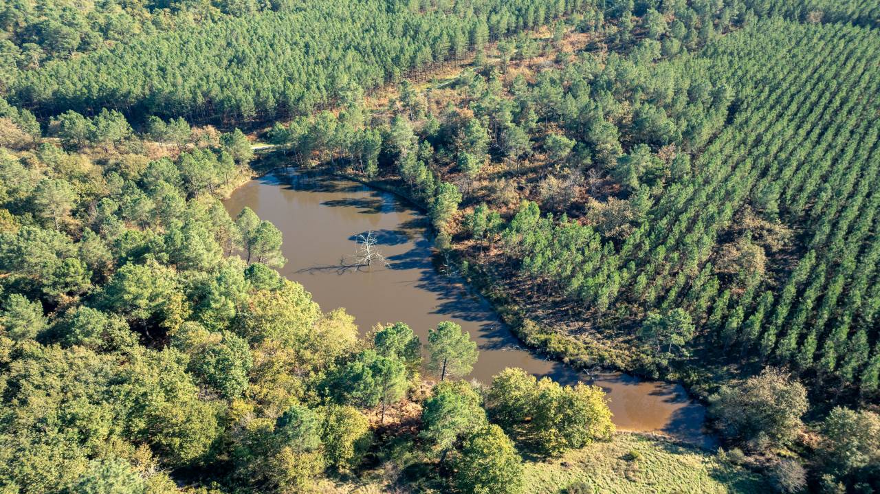 Equestrian property  Charente