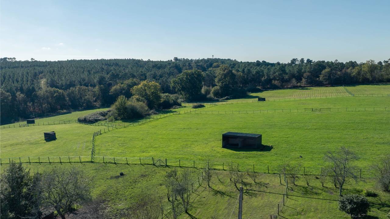 Equestrian property  Charente