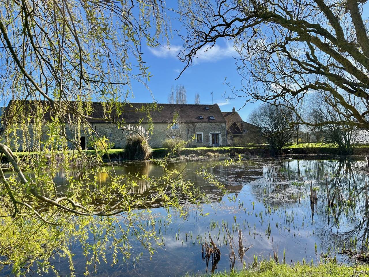 Equestrian property  Orne