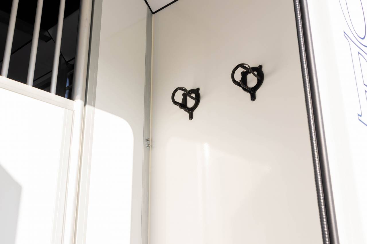 Horsebox HGV Fiat  FIAT DUCATO 2016 Used