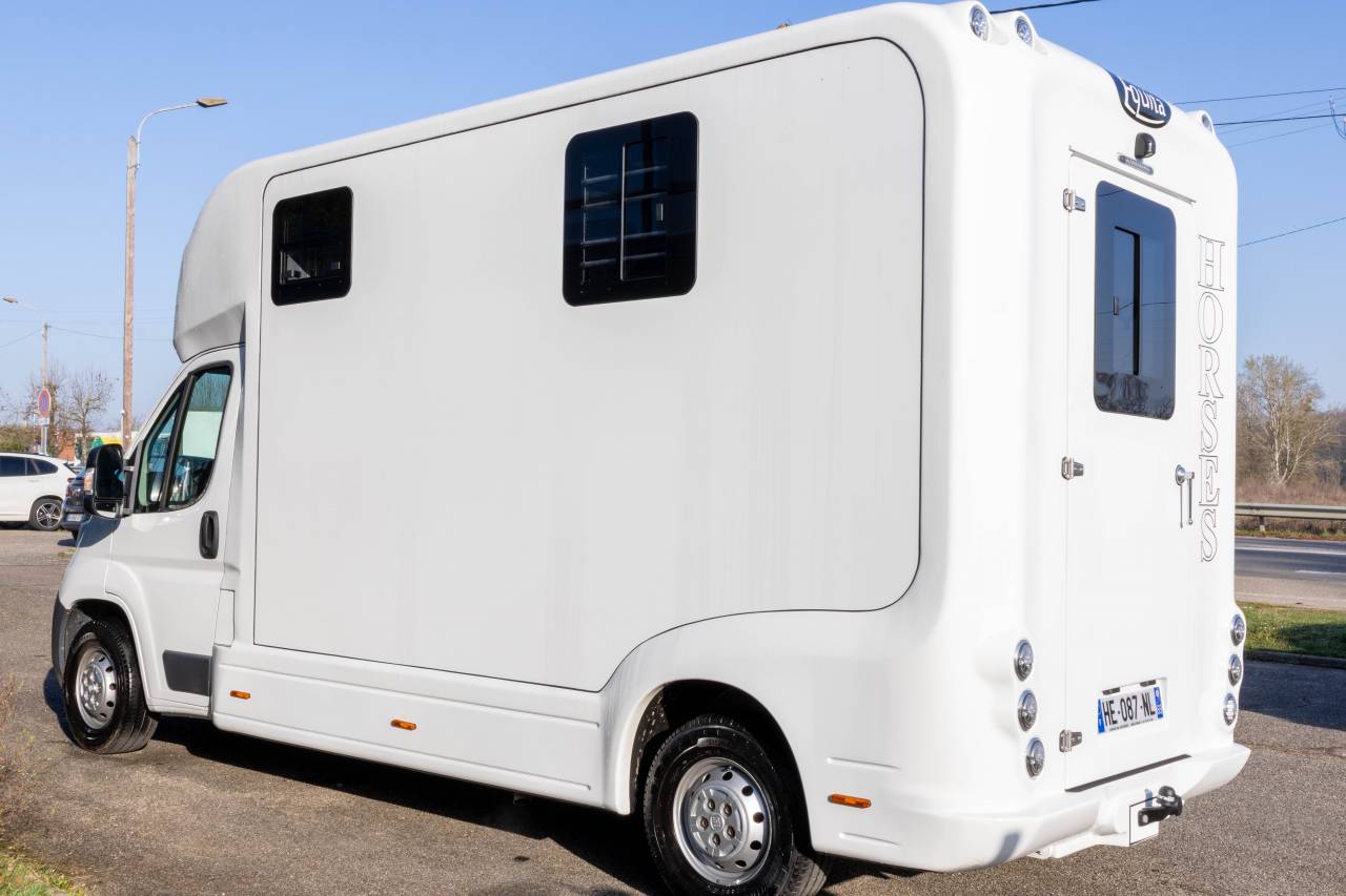 Horsebox HGV Fiat  FIAT DUCATO 2016 Used