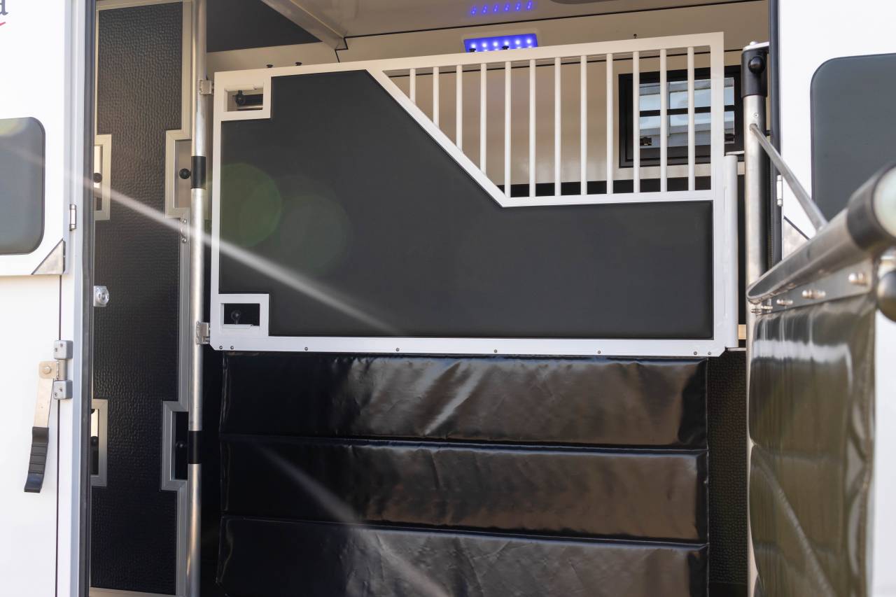 Horsebox HGV Fiat  FIAT DUCATO 2016 Used