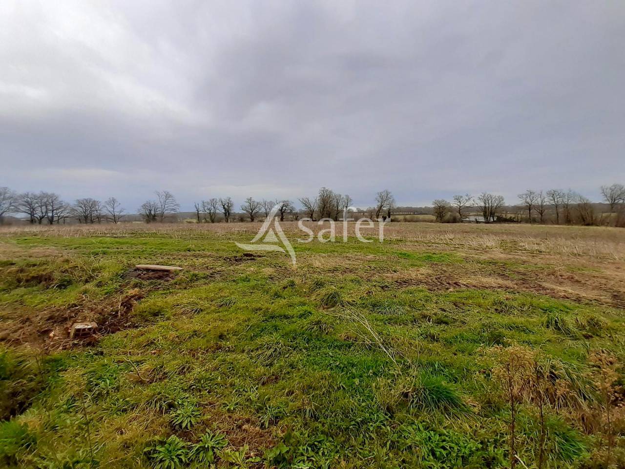 Other agricultural property  Vienne