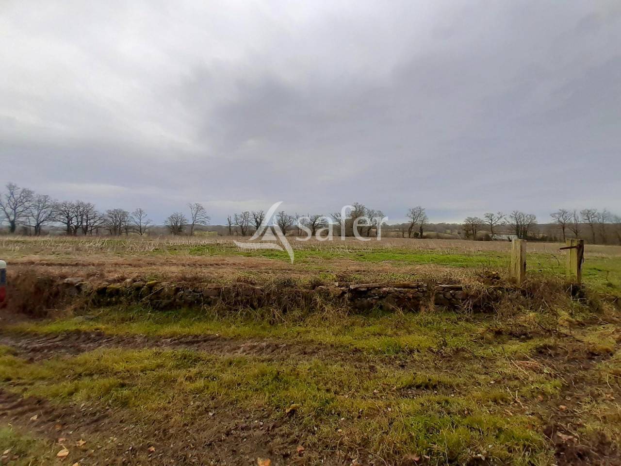 Other agricultural property  Vienne