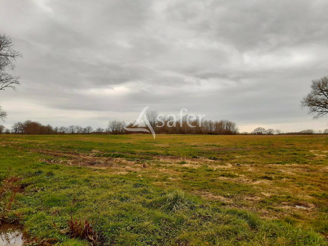 Other agricultural property  Vienne