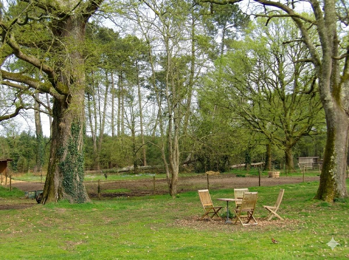 Equestrian property  Landes