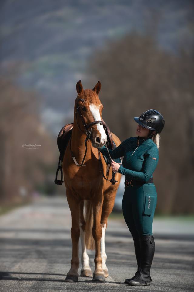 Mare Other Pony Breed For sale 2018 Chesnut