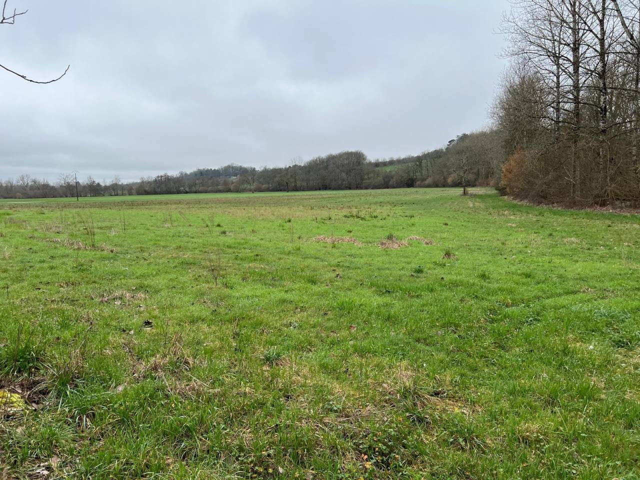 Equestrian property  Dordogne