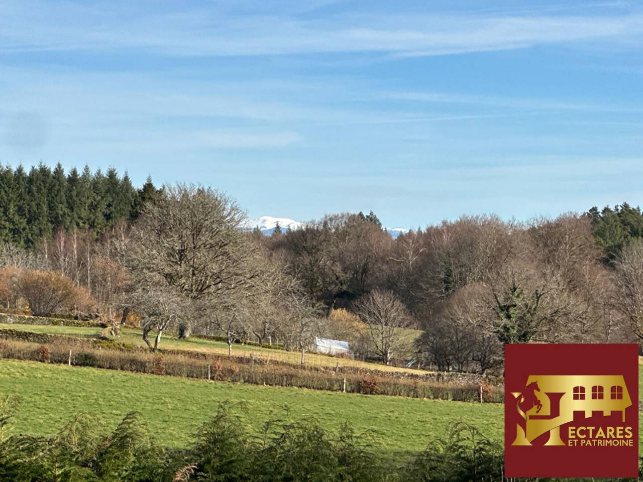 Equestrian property  Corr&egrave;ze
