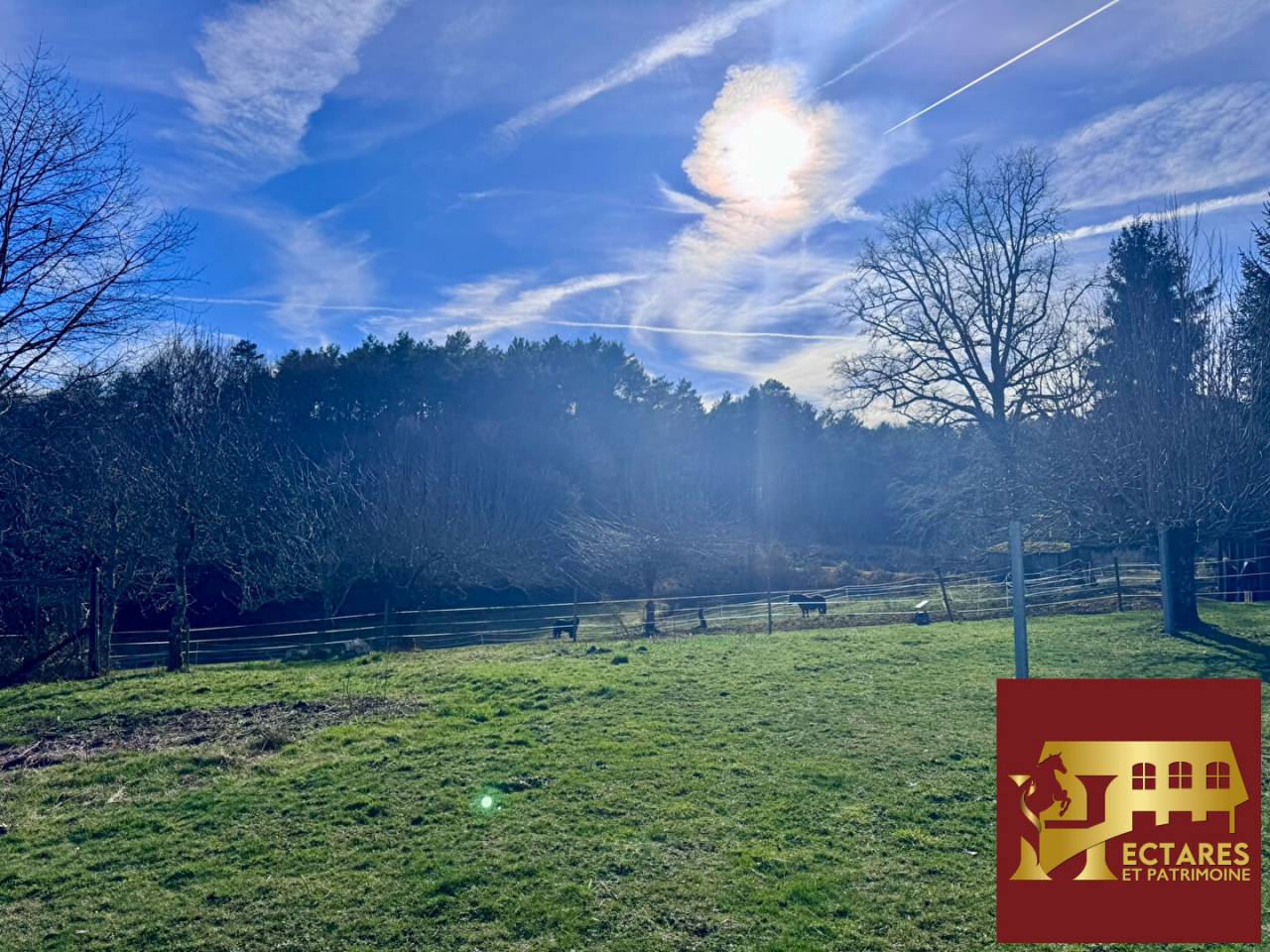 Equestrian property  Corr&egrave;ze