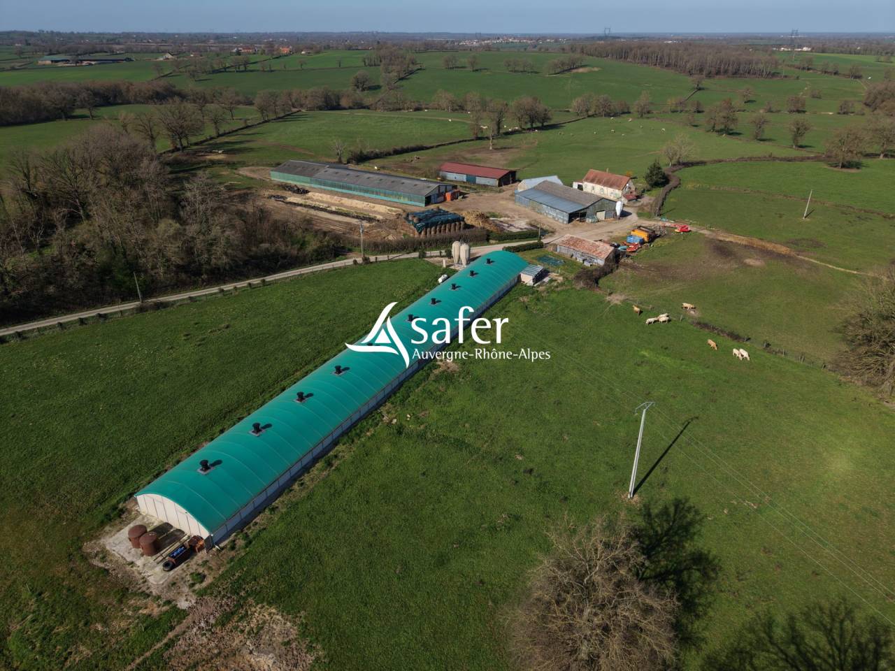 Poultry farm  Allier