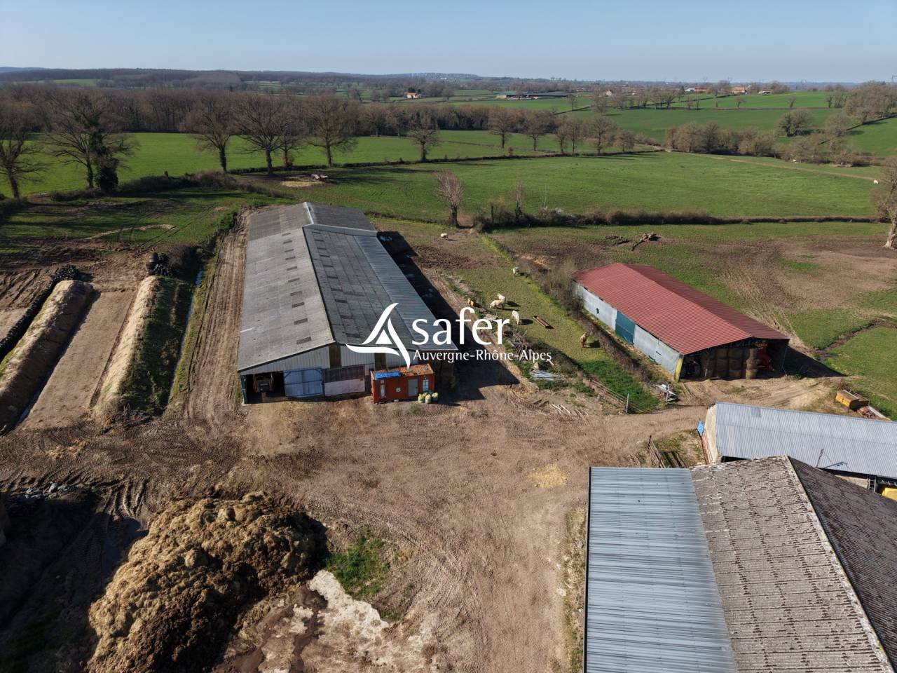 Poultry farm  Allier