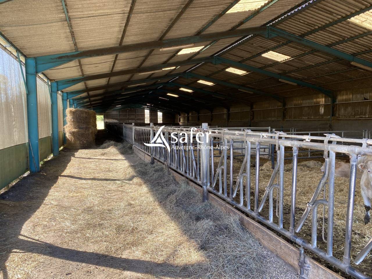 Poultry farm  Allier