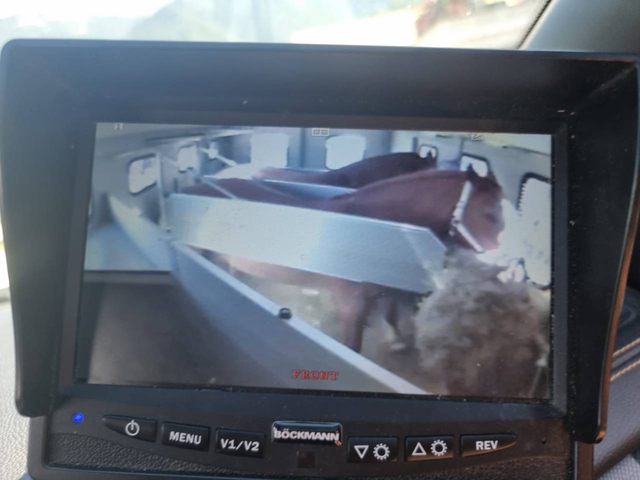 Horse trailer Bockmann Traveller G3 3 Stalls 2018 Used