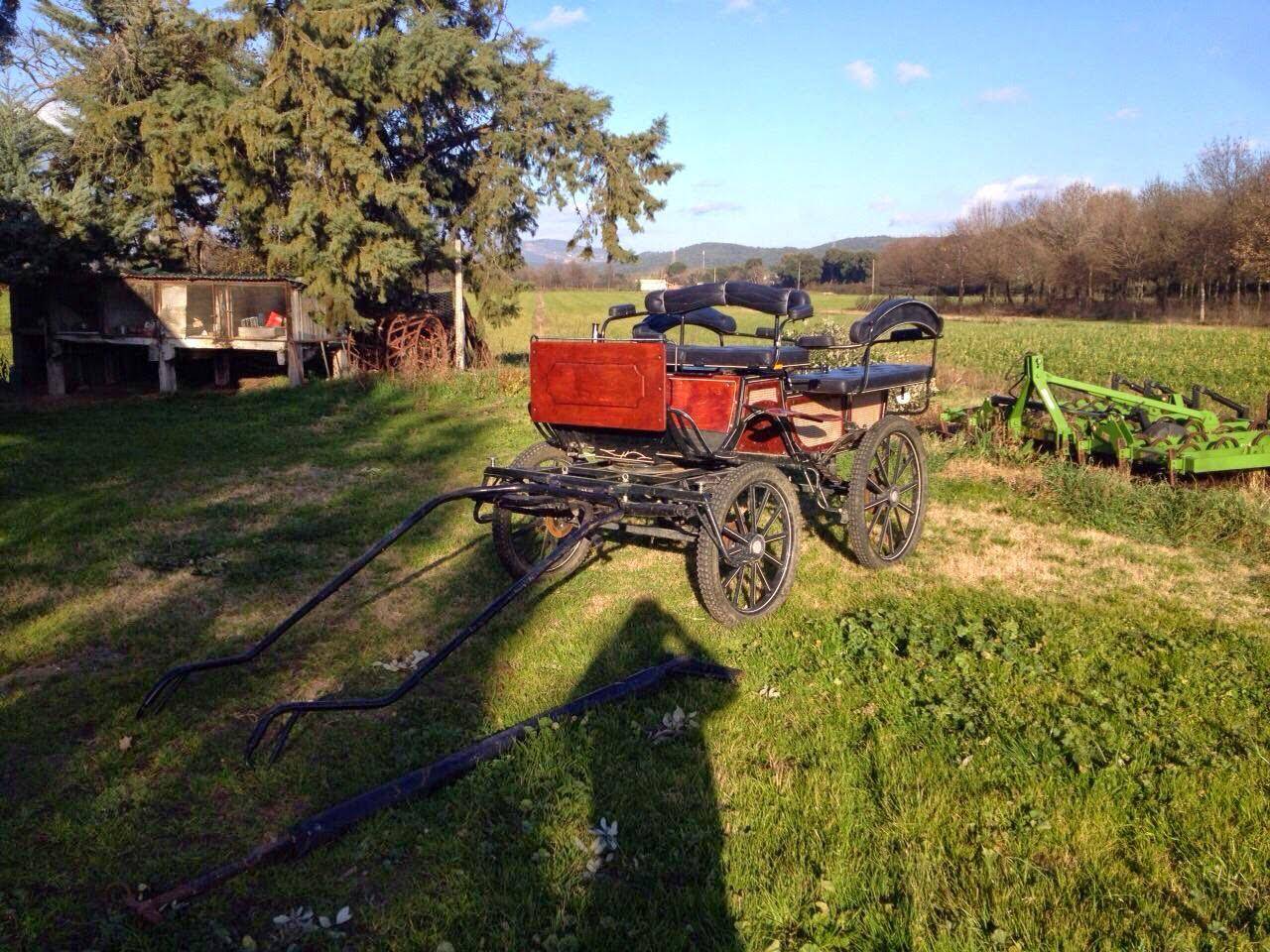 Carriage - Fiacre - Other brand -  