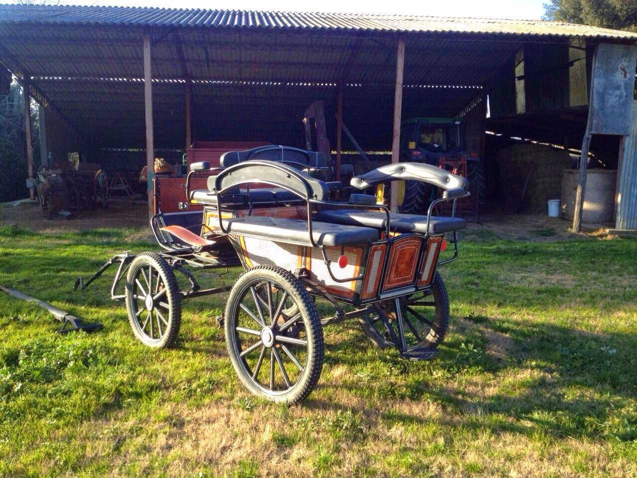 Carriage - Fiacre - Other brand -  