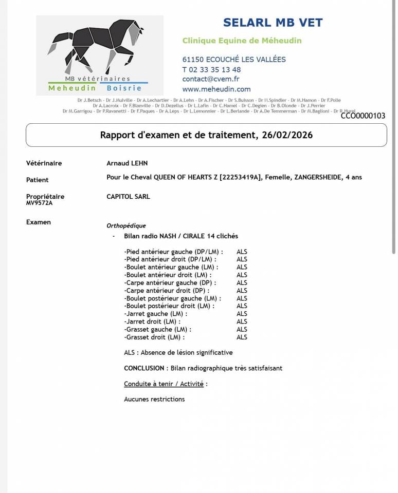 Mare Zangersheide For sale 2022 Bay